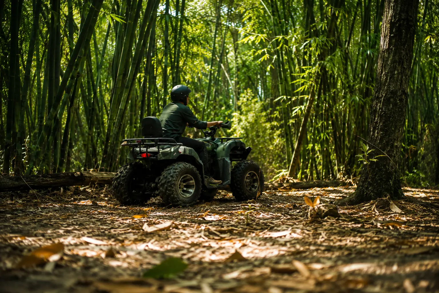 ATV route through Kintamani forest terrain.
