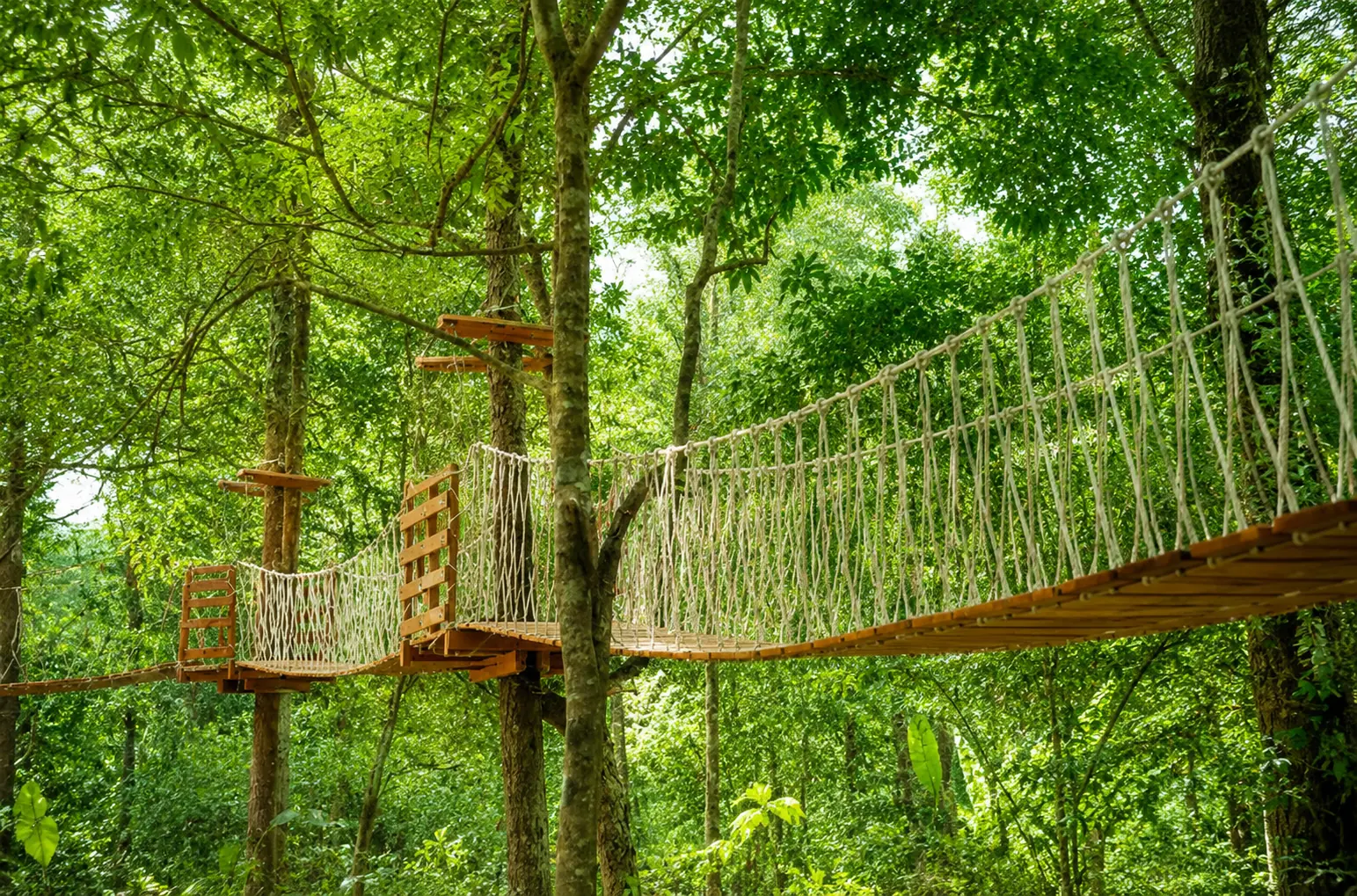 Jungle outbound rope course in a green Kintamani forest setting.