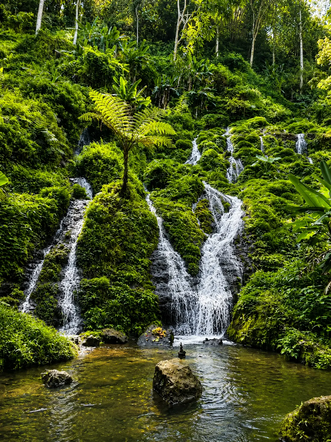 Pelisan Waterfall stop on a private Kintamani adventure journey.